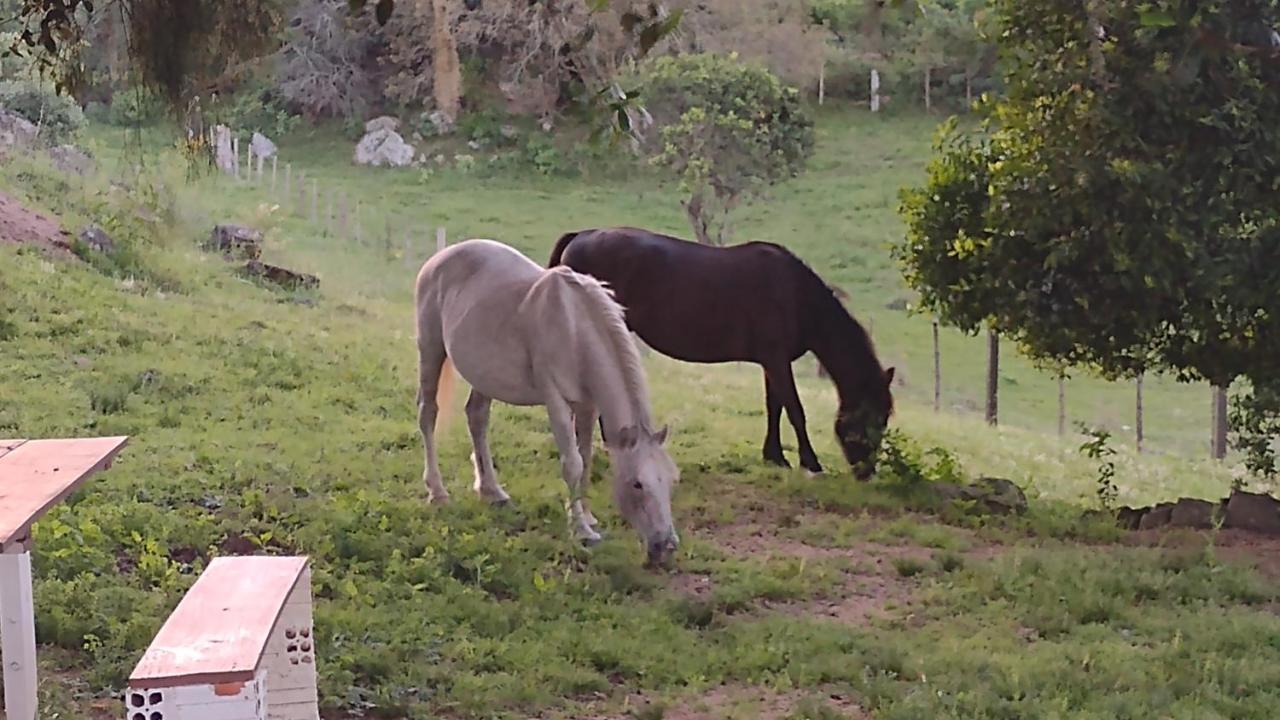 Casa & Chale Em Morro Redondo Rs Villa Kültér fotó